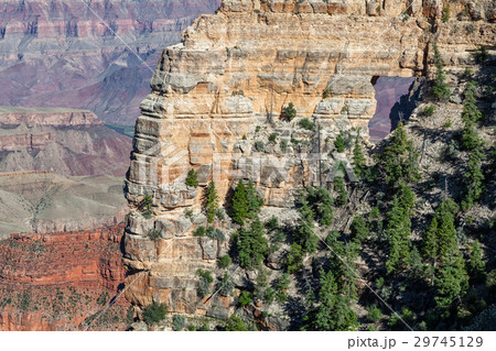 North Rim Grand Canyon 29745129