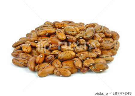 Pinto beans 29747849