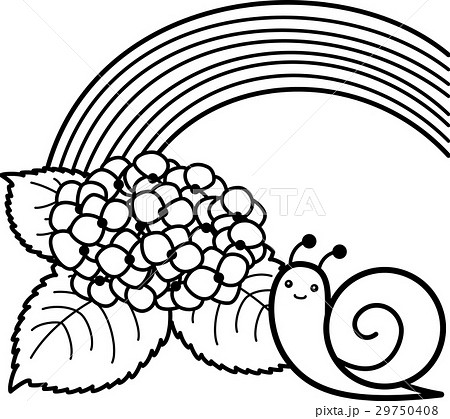 Hydrangea Snail Rainbow Black And White Line Stock Illustration