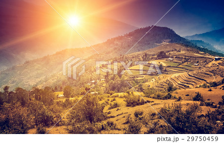 Nature travel landscape in sunset light Nature travel landscape in sunset light 29750459
