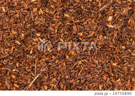 ルイボスティー：Rooibos 29750890