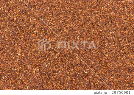 ルイボスティー：Rooibos 29750901