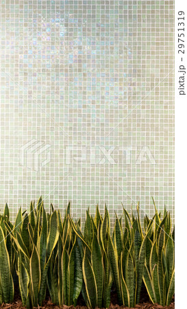green wall tiles  texture background leaves plant 29751319
