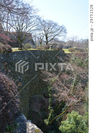 春の岡城址　豊後竹田城址 29751526