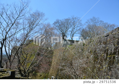 春の岡城址　豊後竹田城址 29751536