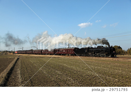 冬の田野を走り抜けるC61。SLおいでよ銚子号。2013/2/10 29751793