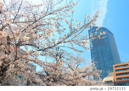 桜と虎の門ヒルズタワー 桜と虎の門ヒルズタワー 29752135