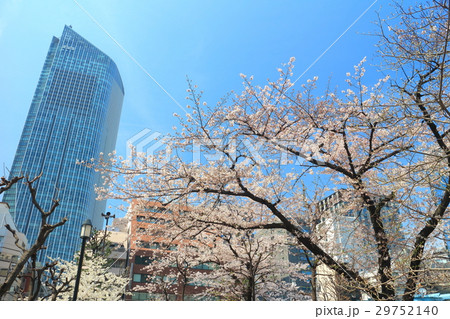 桜と虎の門ヒルズタワー 桜と虎の門ヒルズタワー 29752140
