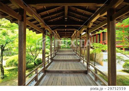 屋根付きの廊下 29752559