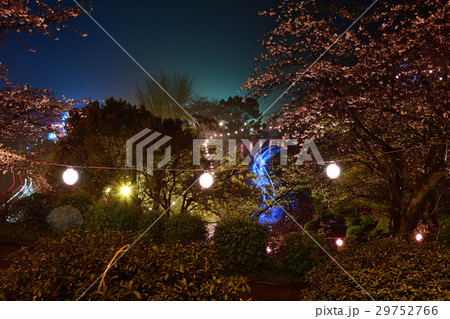 夜景 29752766