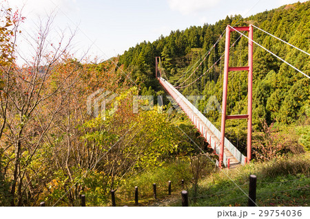 千眼堂吊り橋 29754036