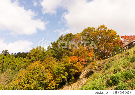 朝日山展望台 29754037