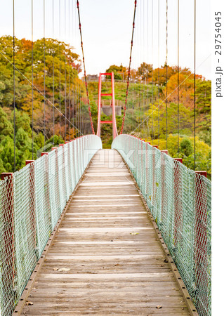 千眼堂吊り橋 29754045