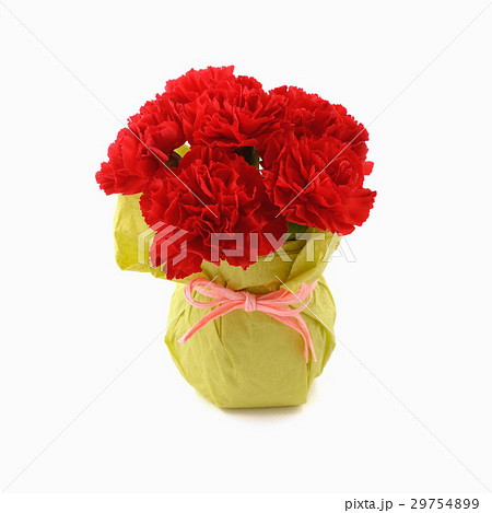 赤いカーネーションのアレンジメント 赤いカーネーションのアレンジメント 29754899