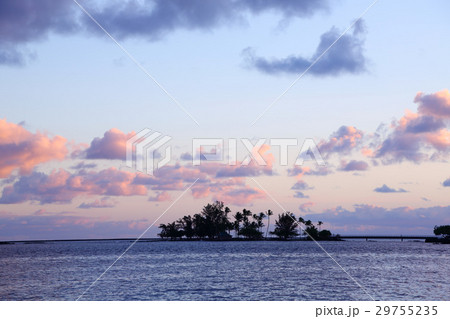 朝焼け　ココナッツアイランド 29755235