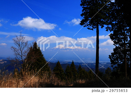 白鳥山からの富士山 白鳥山からの富士山 29755653