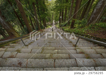 身延山 久遠寺_菩提梯(287段の石段) 29756295
