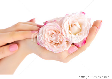 Hands of a woman with pink roses 29757407