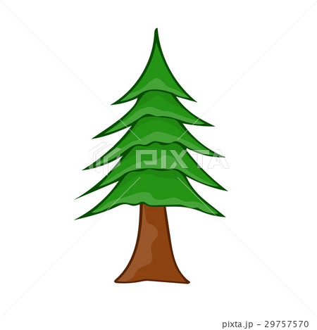 Christmas tree isolated illustration Christmas tree isolated illustration 29757570