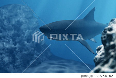 3D Shark diving in deep sea 29758162
