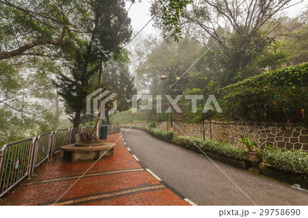 Foggy misty road indicating haunted 29758690