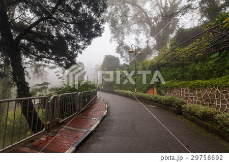 Foggy misty road indicating haunted 29758692