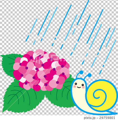 あじさい梅雨 かたつむり 雨のイラスト素材