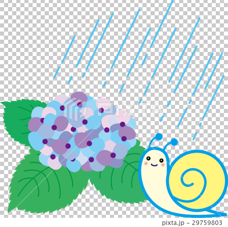 あじさい梅雨　かたつむり　雨 29759803