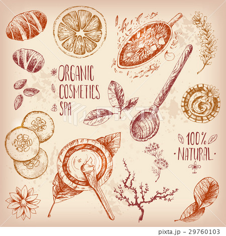 Hand Drawn Vector Set Organic Cosmetics Spaのイラスト素材