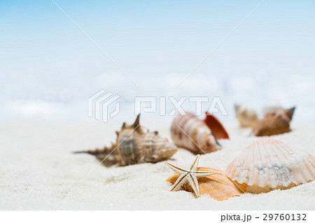 海辺・砂浜のイメージ 29760132
