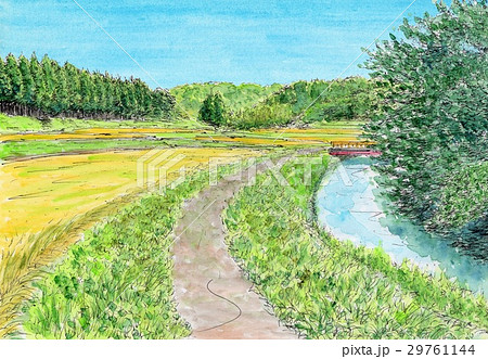 秋晴れ 秋晴れ 29761144