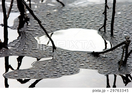 Oil and plastic bottle pollution Oil and plastic bottle pollution 29763345