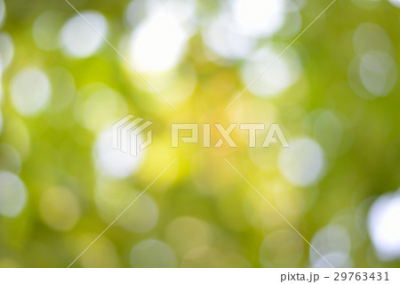 Blur green tree light bokeh abstract background 29763431