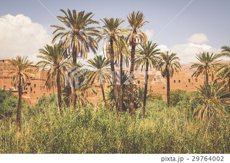 Tinerhir village near Georges Todra at Morocco 29764002