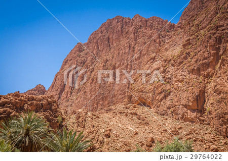 Todgha Gorge, a canyon in the High Atlas Todgha Gorge, a canyon in the High Atlas 29764022