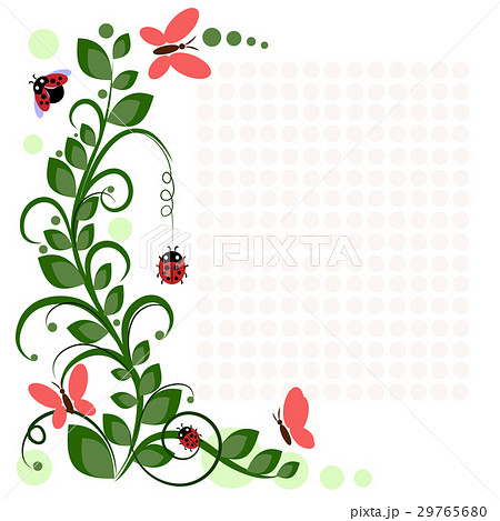 vector drawing with flowers and insects 29765680