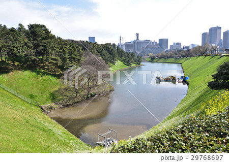 透明に浄化された皇居のお堀 透明に浄化された皇居のお堀 29768697