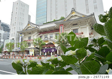 銀座の紫陽花 29771149