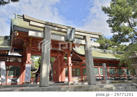 住吉大社 住吉鳥居 住吉大社 住吉鳥居 29771201