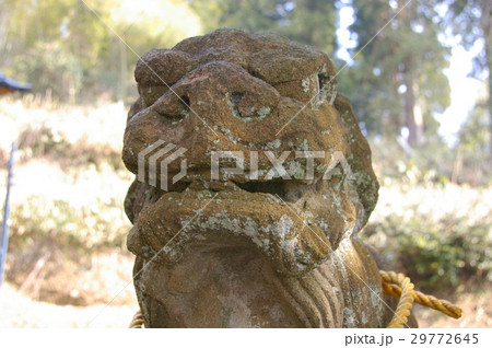 富山県高岡市道神社の狛犬 富山県高岡市道神社の狛犬 29772645