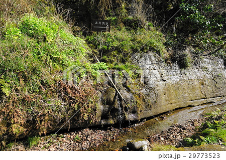 3月 鎌倉174朝夷奈切通し・梶原太刀洗水(鎌倉五名水) 3月 鎌倉174朝夷奈切通し・梶原太刀洗水(鎌倉五名水) 29773523