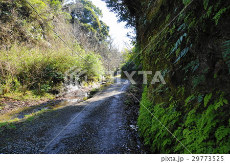 3月　鎌倉176朝夷奈切通し 29773525