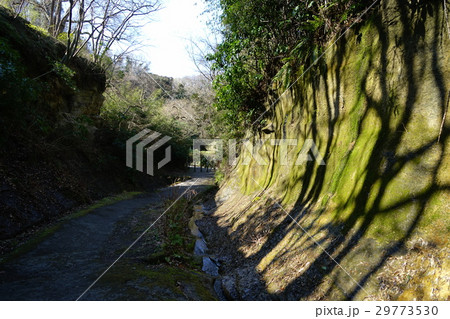 3月 鎌倉179朝夷奈切通し 3月 鎌倉179朝夷奈切通し 29773530