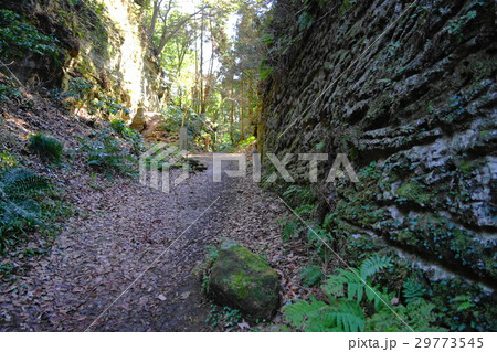 3月　鎌倉187朝夷奈切通し 29773545