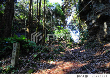 3月　鎌倉195朝夷奈切通し 29773554