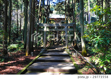 3月　鎌倉199朝夷奈切通し・熊野神社 29773558