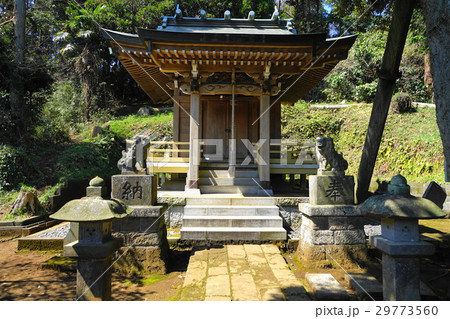 3月　鎌倉202朝夷奈切通し・熊野神社 29773560