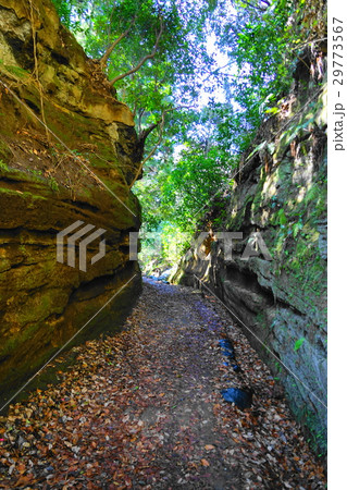 3月 鎌倉209朝夷奈切通し 3月 鎌倉209朝夷奈切通し 29773567