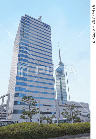 TNC放送会館と福岡タワー（福岡市早良区） 29774436
