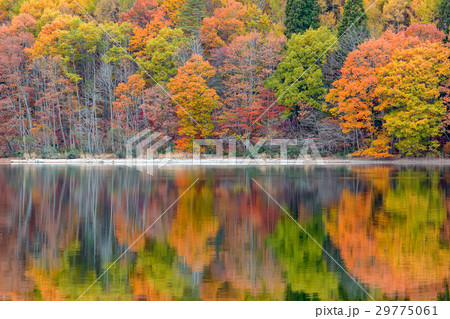 長野県大町市の青木湖の紅葉 長野県大町市の青木湖の紅葉 29775061